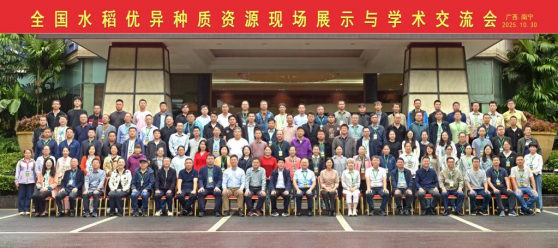 7fdc8fed-1a94-4d2e-87a5-d6a46d618bfb.png