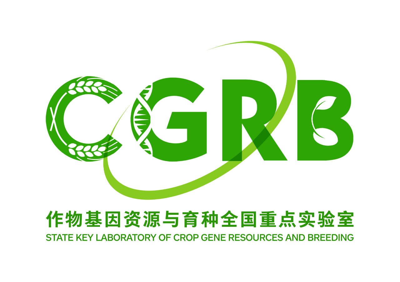 5bdfed8f-7447-4e6f-901f-36859c39f7b5.png